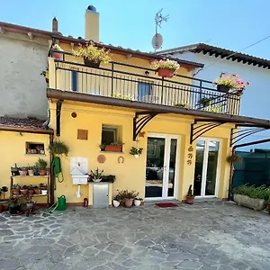 Sassaia11 Arezzo